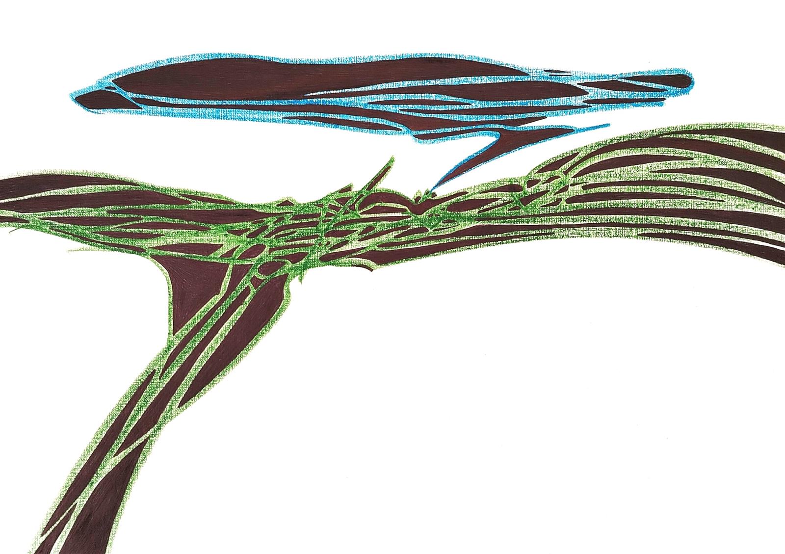 Le radici delle nuvole | 2025 | 29,7 x 42 | Matite Caran d'Ache e biro nera